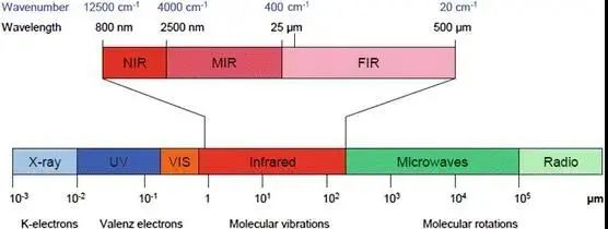 Distribution of common spectra